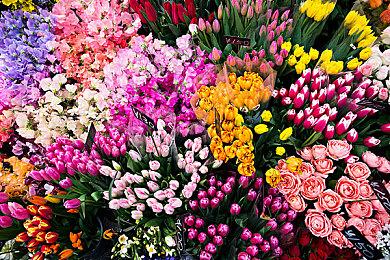 《外星原人：入侵》《外星原人HD版》11＆1推出