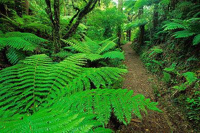 传闻：《烈火战车》正在被重启 2023年发售